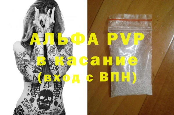 ECSTASY Инсар