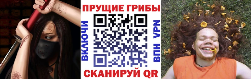 где можно купить   Учалы  Галлюциногенные грибы ЛСД 